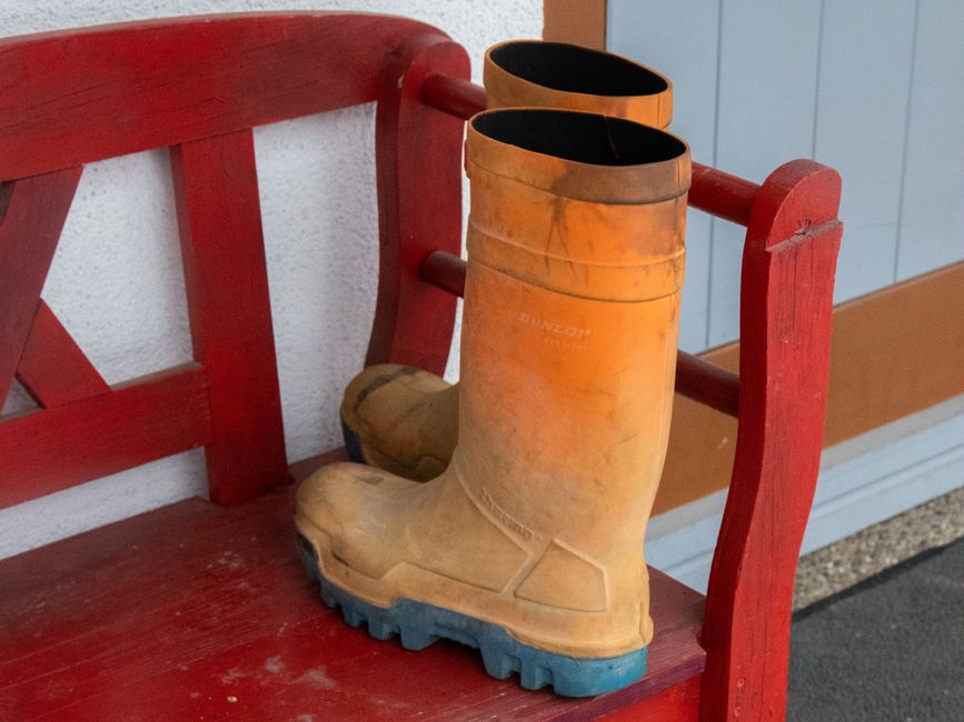 Colourful wellies in muddy festival ground at a UK outdoor music event