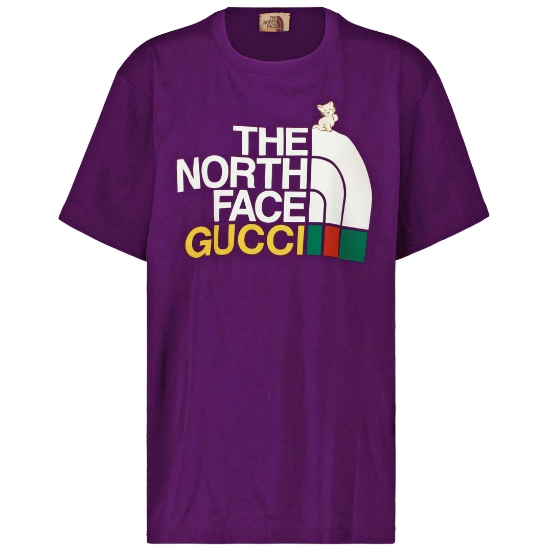 THE NORTH FACE x GUCCI Tシャツ 100% Authentic The North Face x GUCCI Oversized T-Shirt Size: L