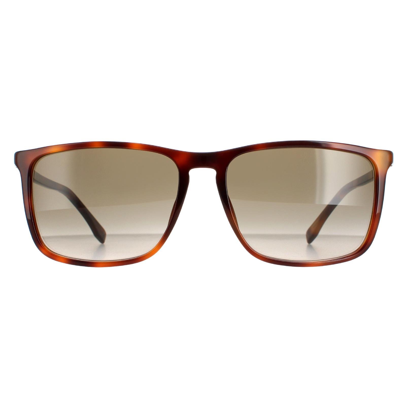 Hugo boss new arrivals 0665 xl