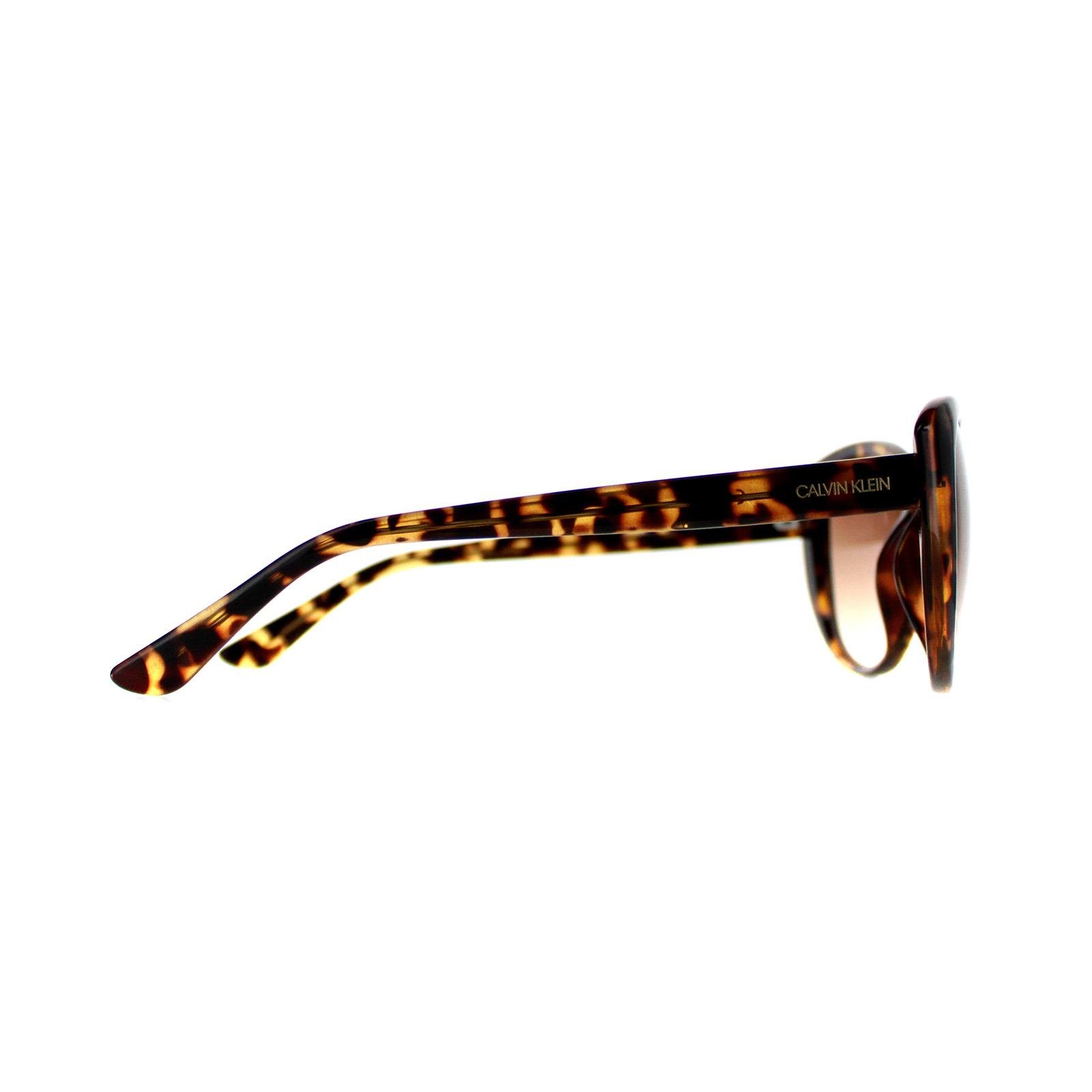 Calvin Klein Cat Eye Womens Tortoise Brown Gradient CK19560S