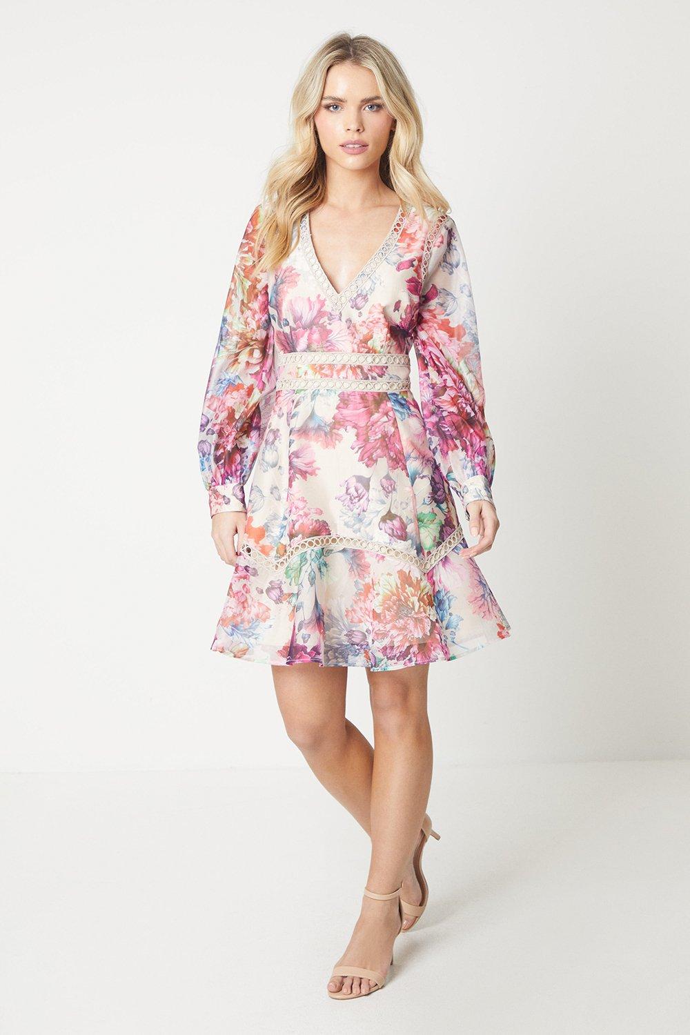 Long Sleeve Elastic Back Organza Mini Dress