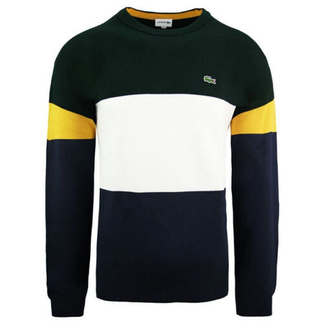 Lacoste color hot sale block sweater