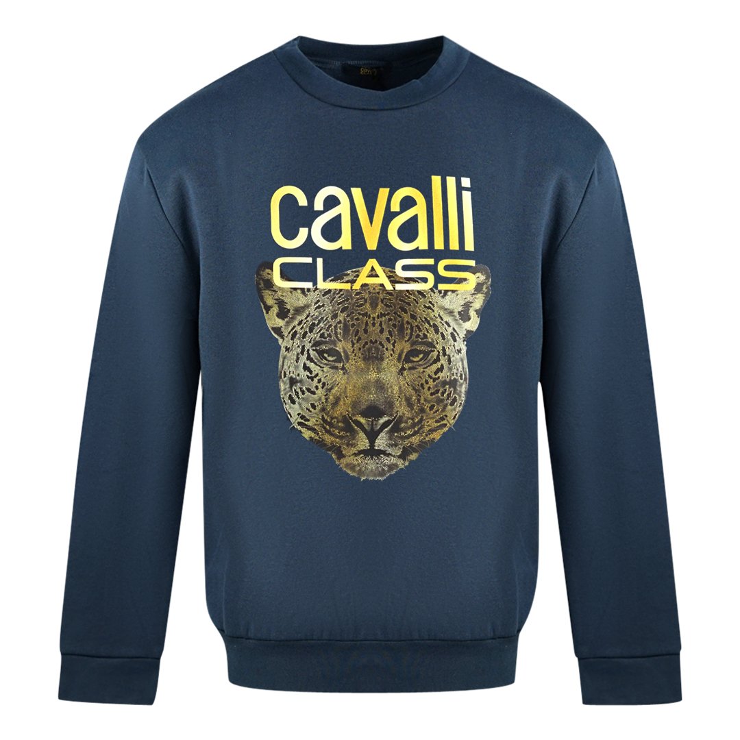 Cavalli Multicolor v-neck wool jumper