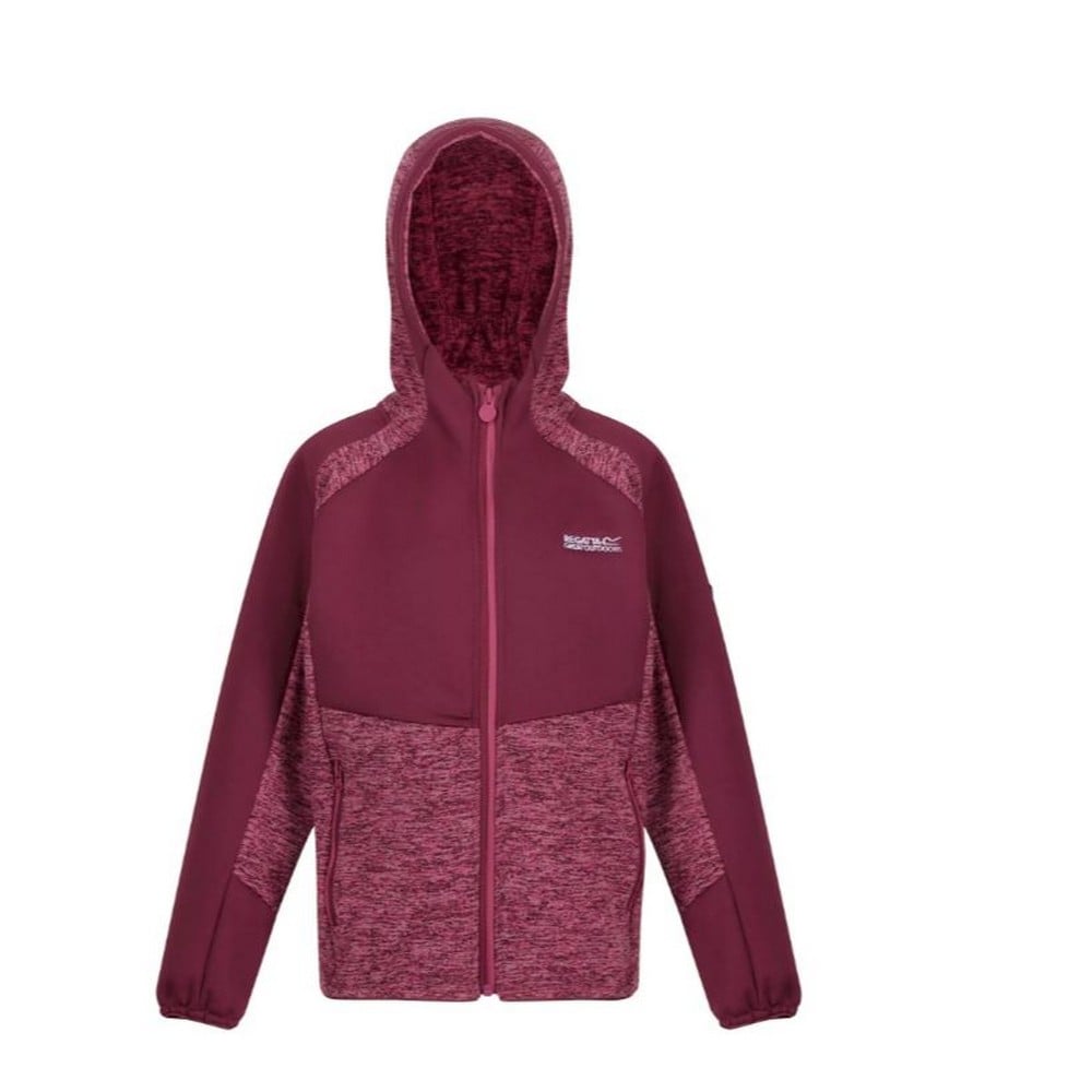 Amaranth champion hoodie discount