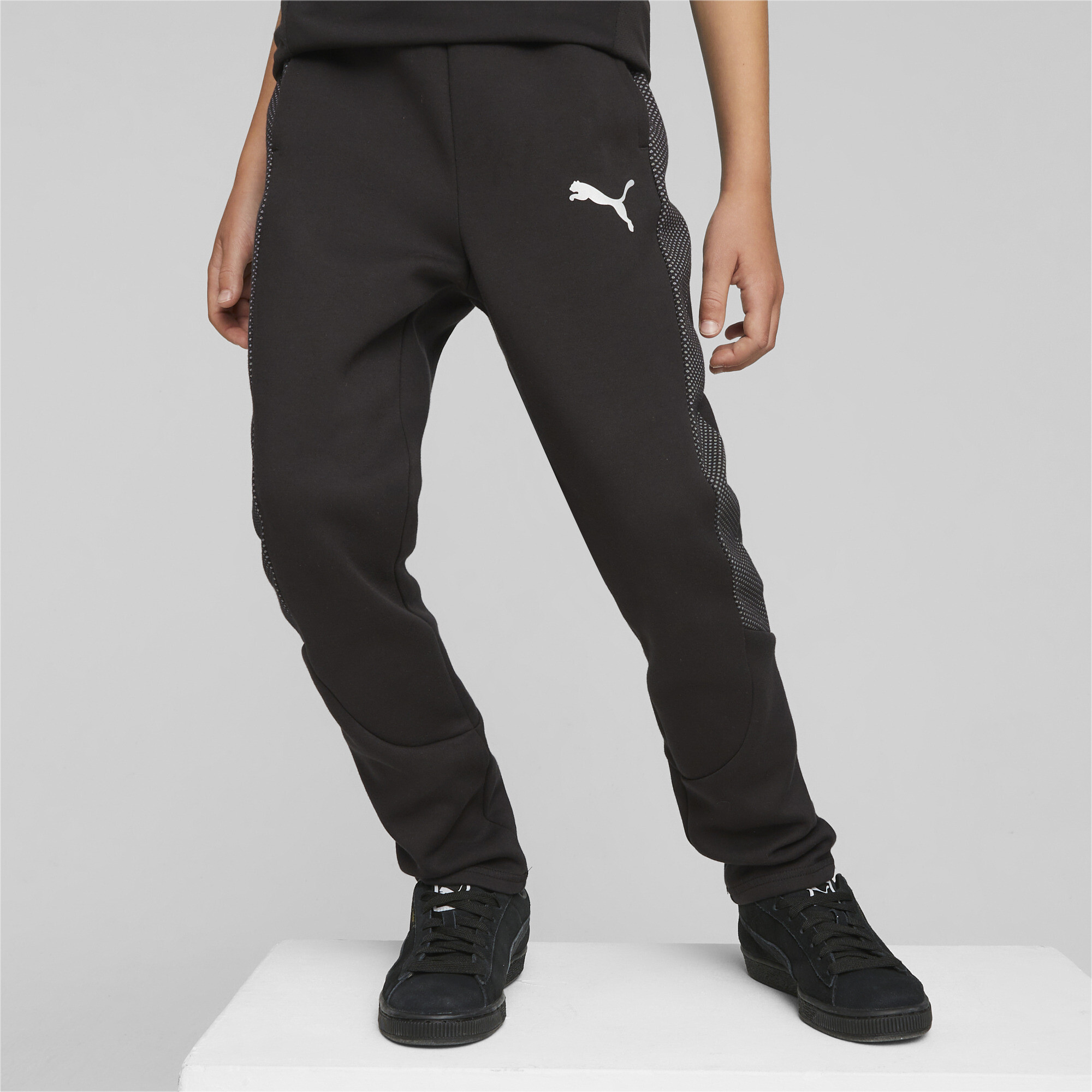 Puma evostripe on sale sweatpants mens