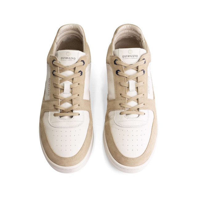Dstrezzed Ds low basket shoe