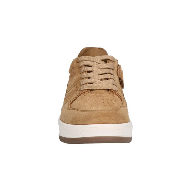 Gattino G1021-242