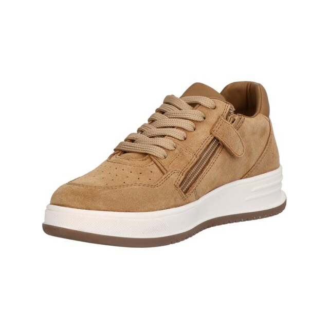 Gattino G1021-242