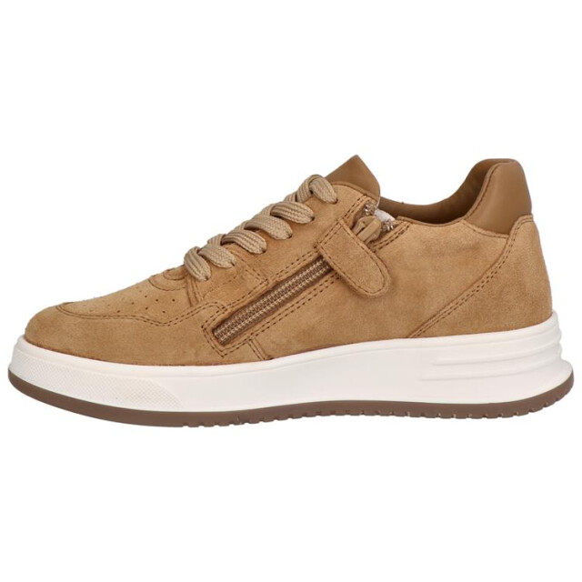 Gattino G1021-242