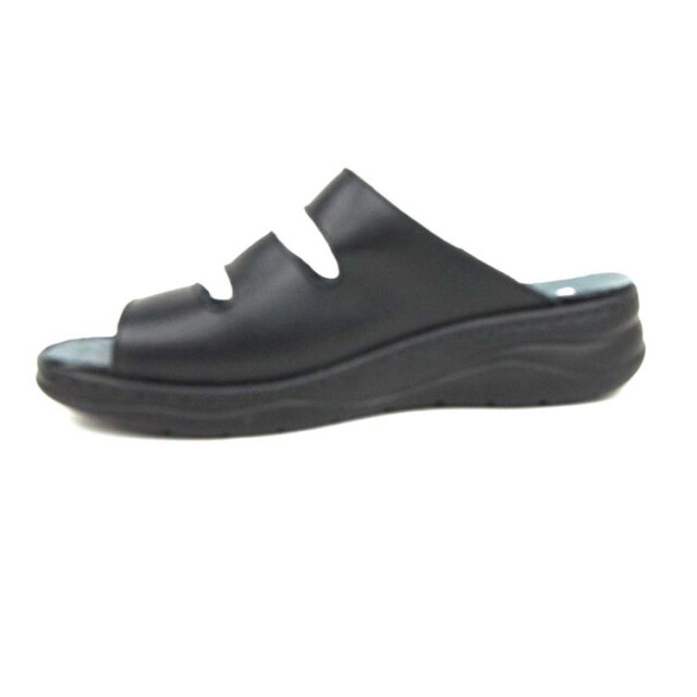Stuppy 2830