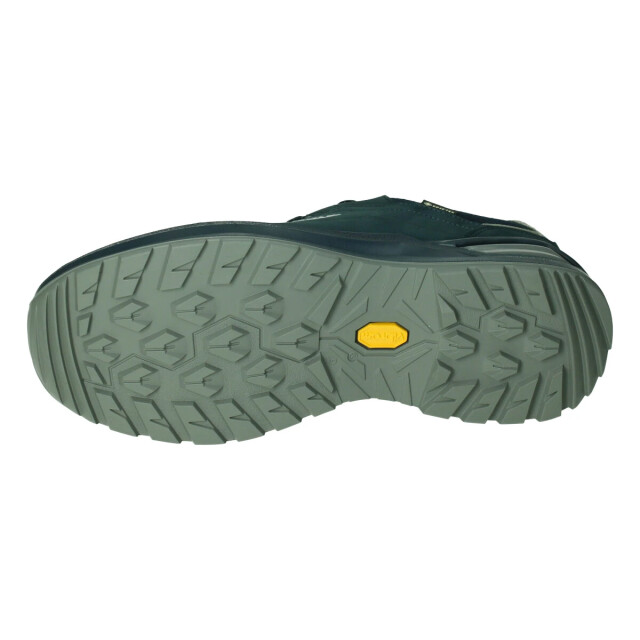 Lowa Renegade evo gtx low