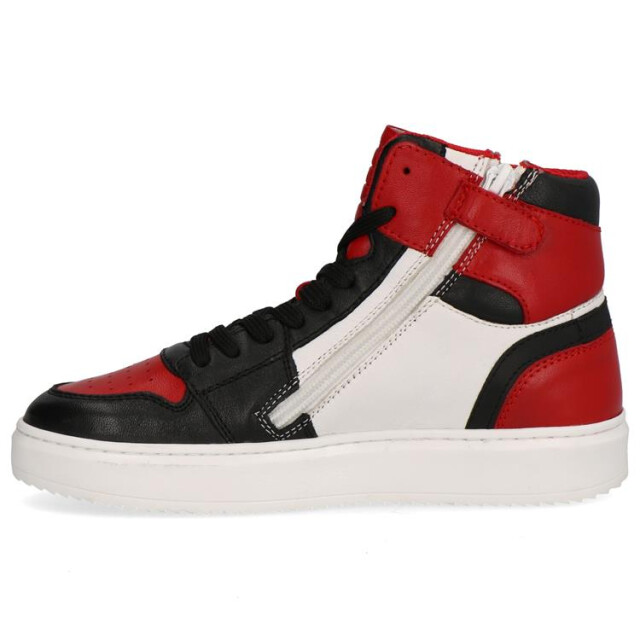 Gattino G1665