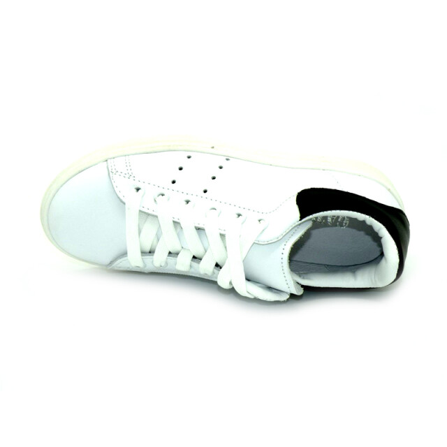 Gattino G1782