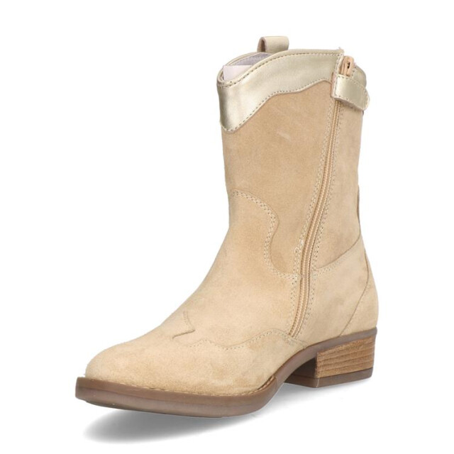 Gattino G1612