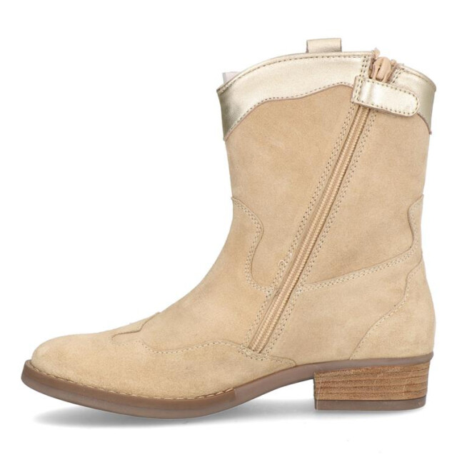 Gattino G1612