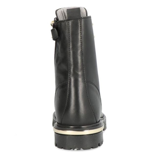 Gattino G1236