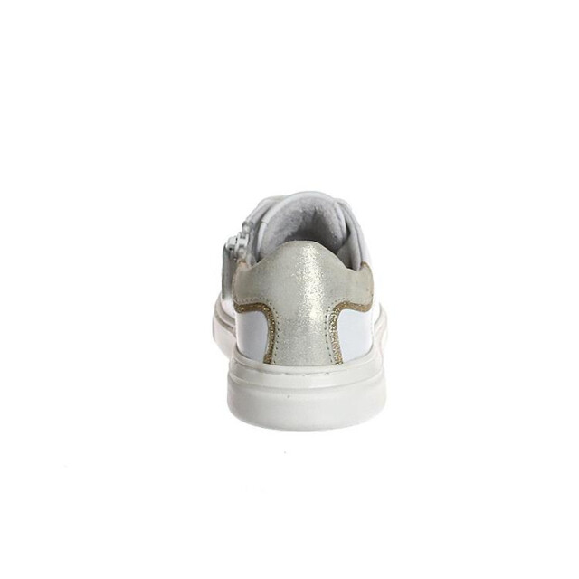Gattino G1708
