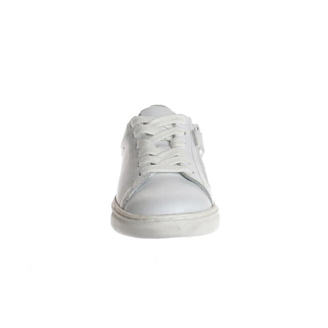 Gattino G1708
