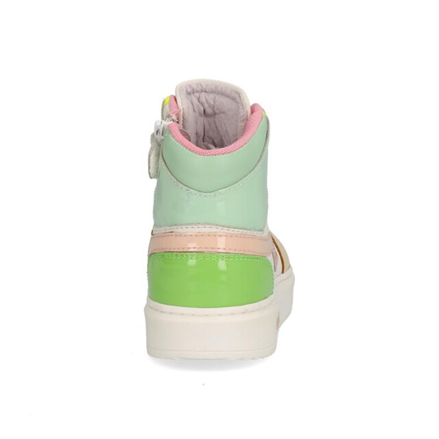 Gattino G1665