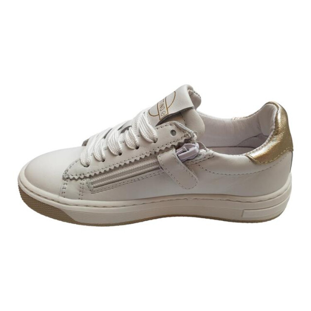 Gattino G6097