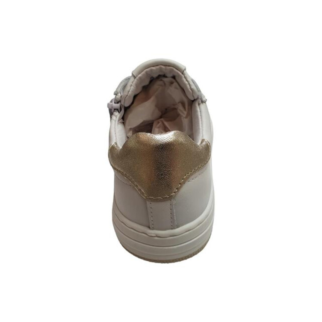 Gattino G6097
