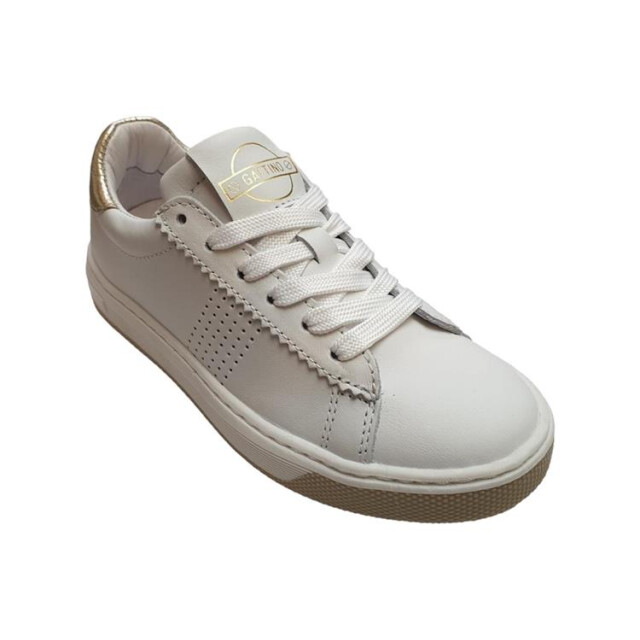 Gattino G6097