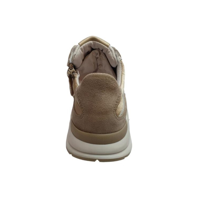 Gattino G6355