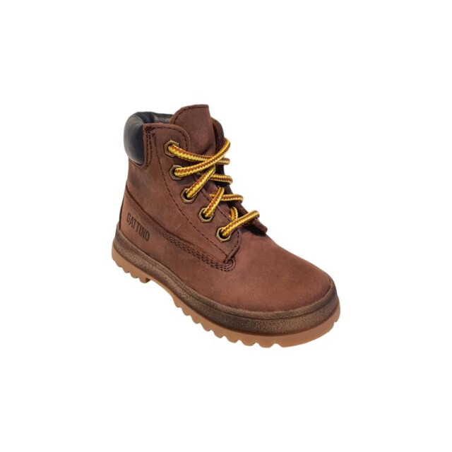 Gattino G1706