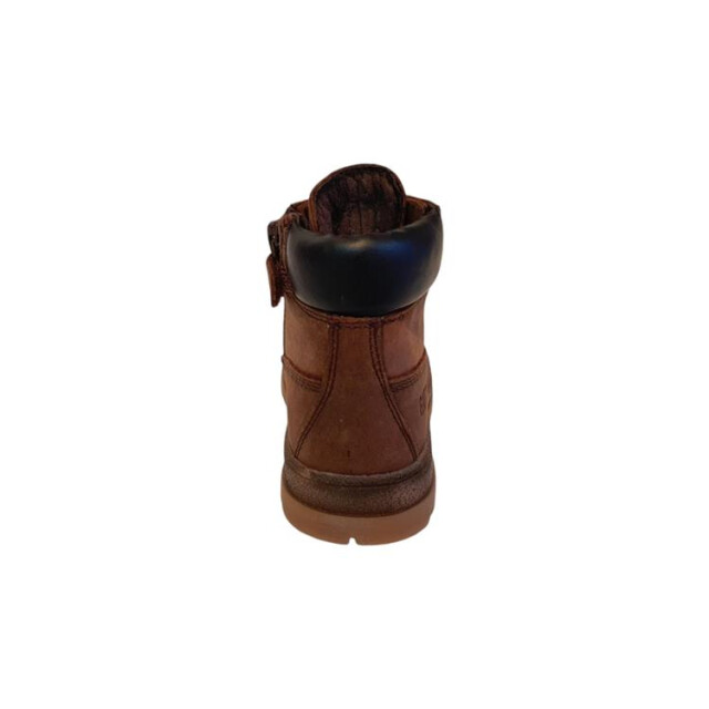 Gattino G1706