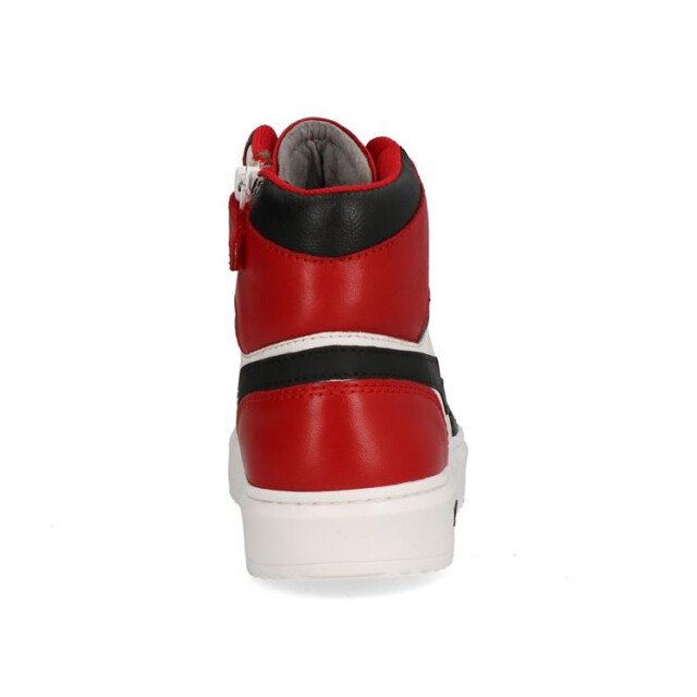 Gattino G1665