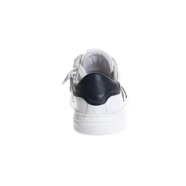 Gattino G1261