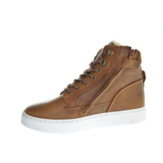 Gattino G2586