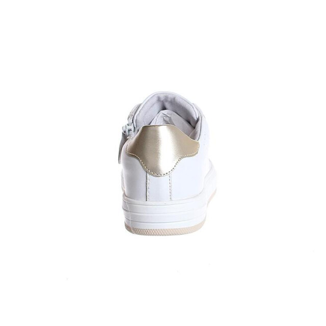 Gattino G1574