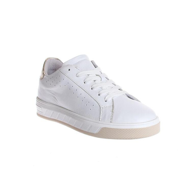 Gattino G1574