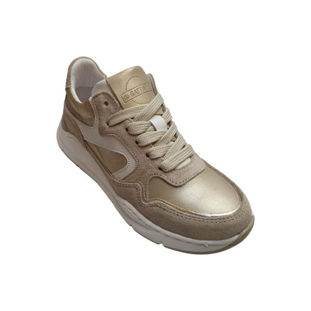 Gattino G6355