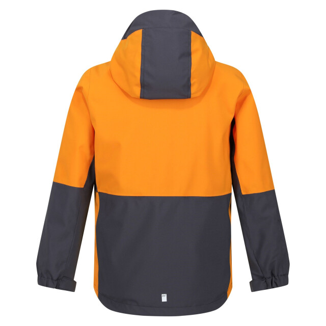 Regatta Hydrate viii 3 in 1 waterdichte jas voor kinderen/kinderen
