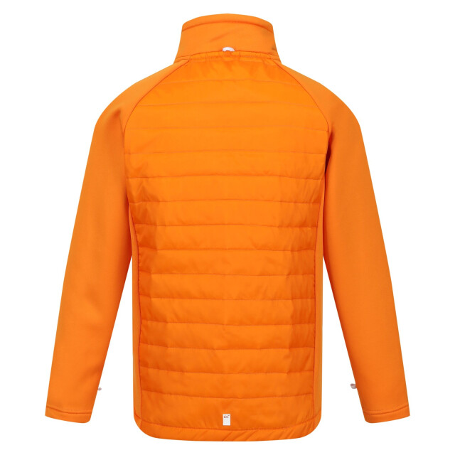 Regatta Hydrate viii 3 in 1 waterdichte jas voor kinderen/kinderen