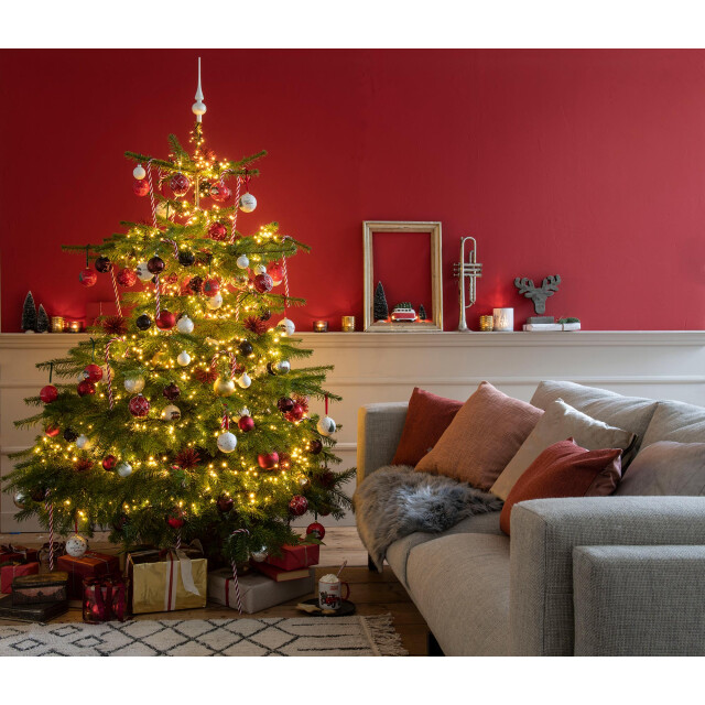 Furnilux Plant&more nordmann kerstboom 300 350 cm zonder kluit + garantie