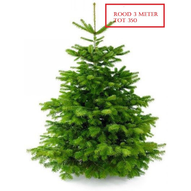 Furnilux Plant&more nordmann kerstboom 300 350 cm zonder kluit + garantie