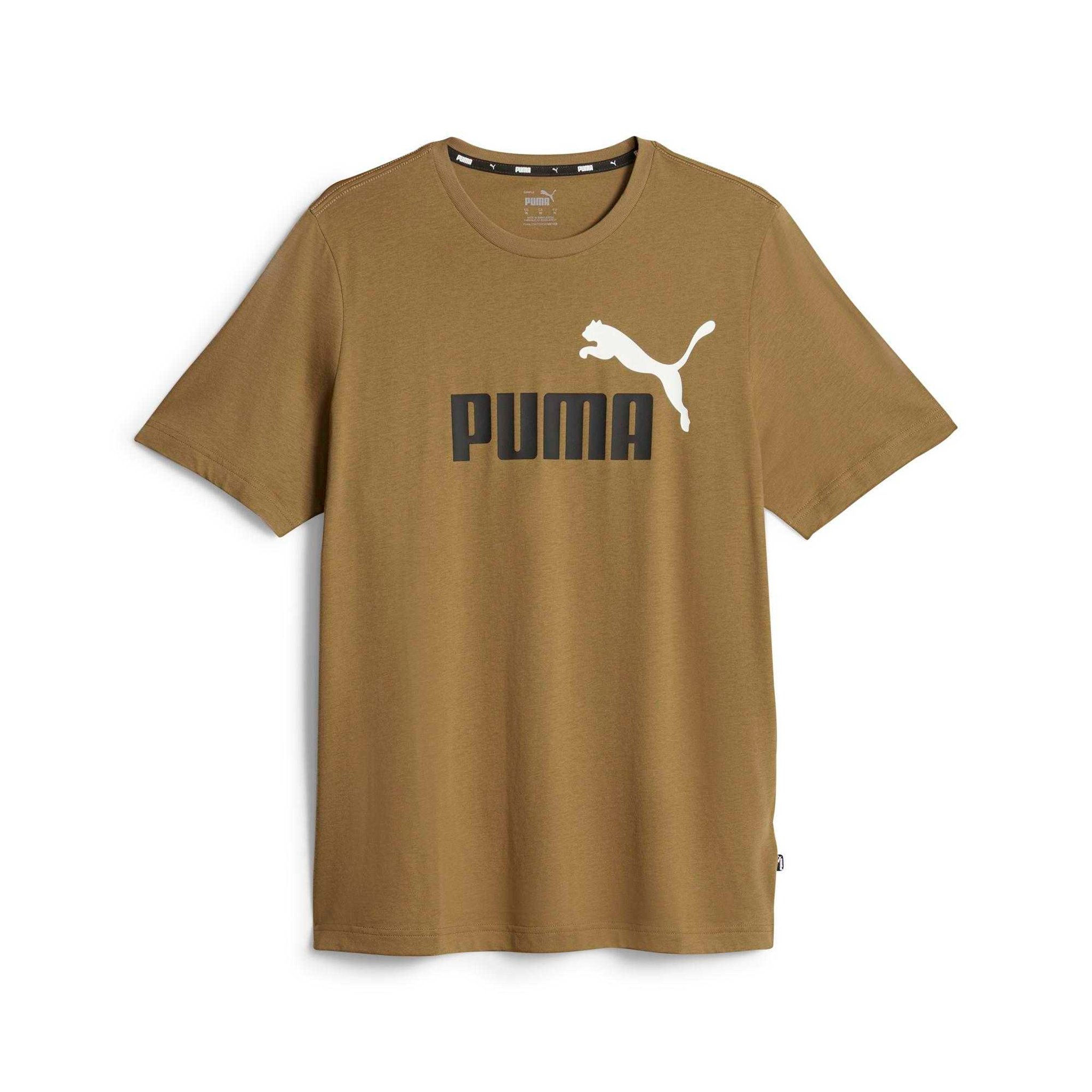 Bruin