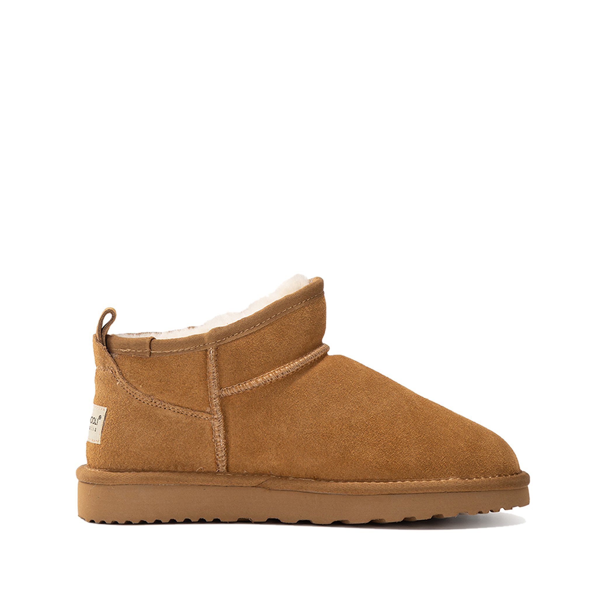 Camel