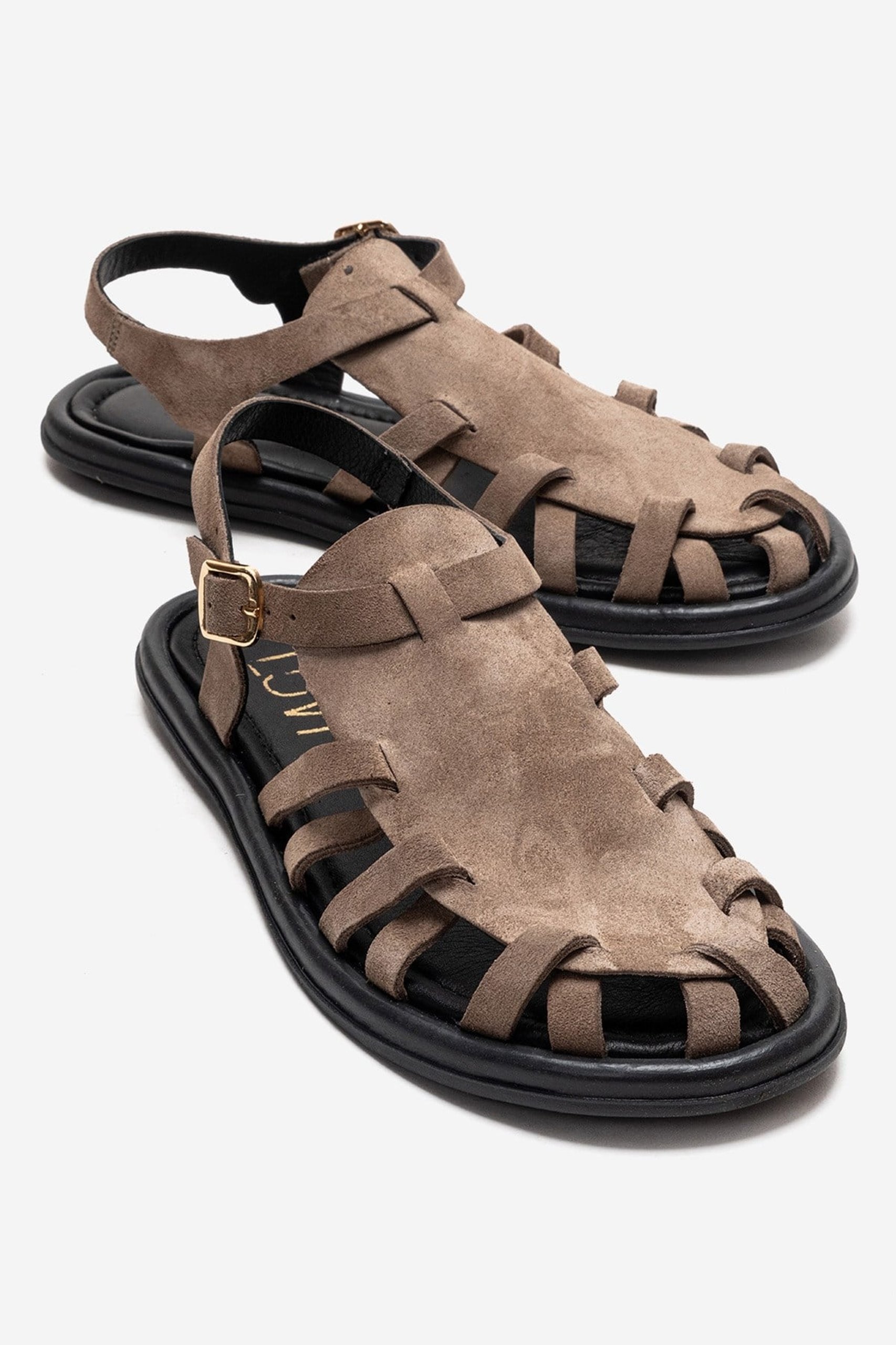 Taupe