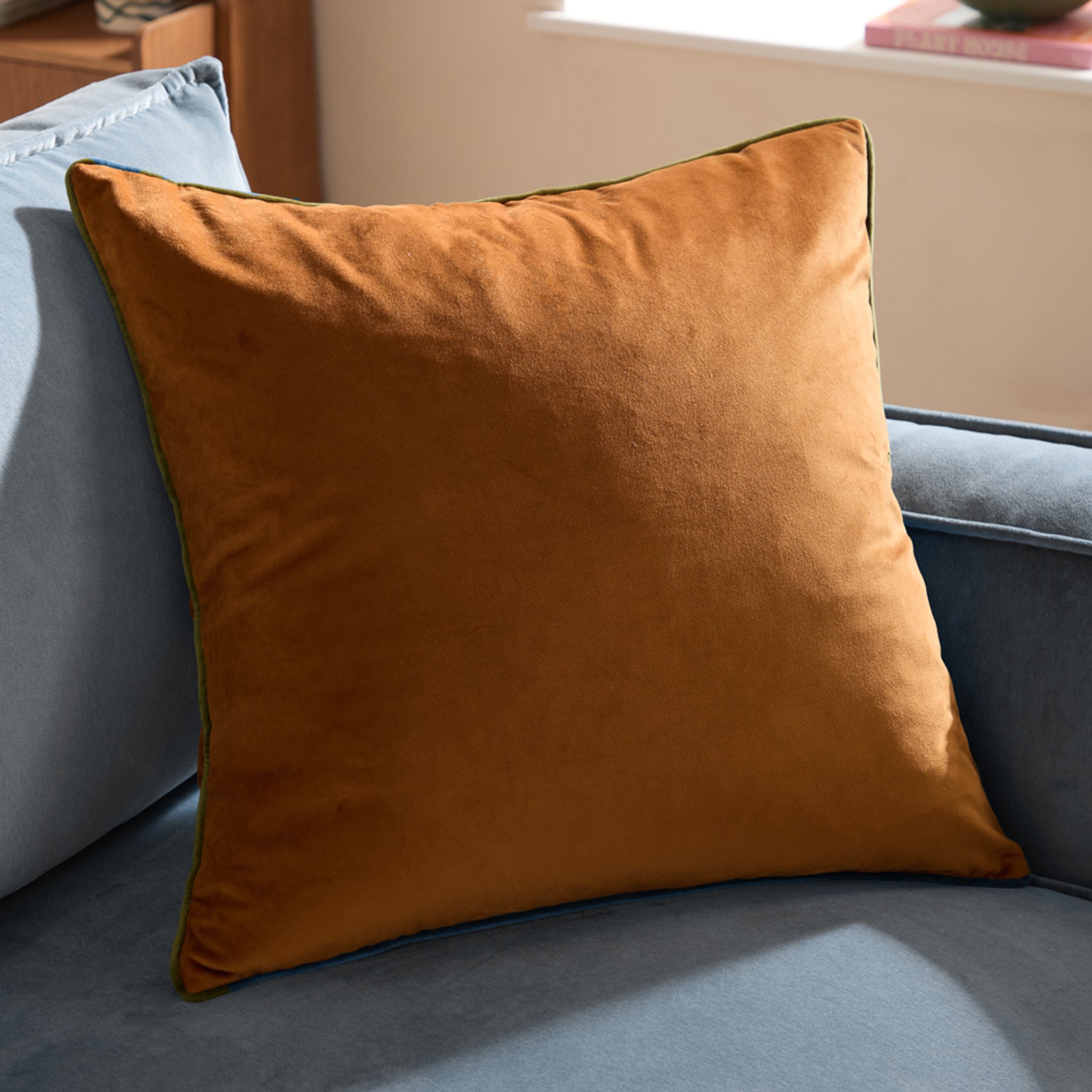 Ginger