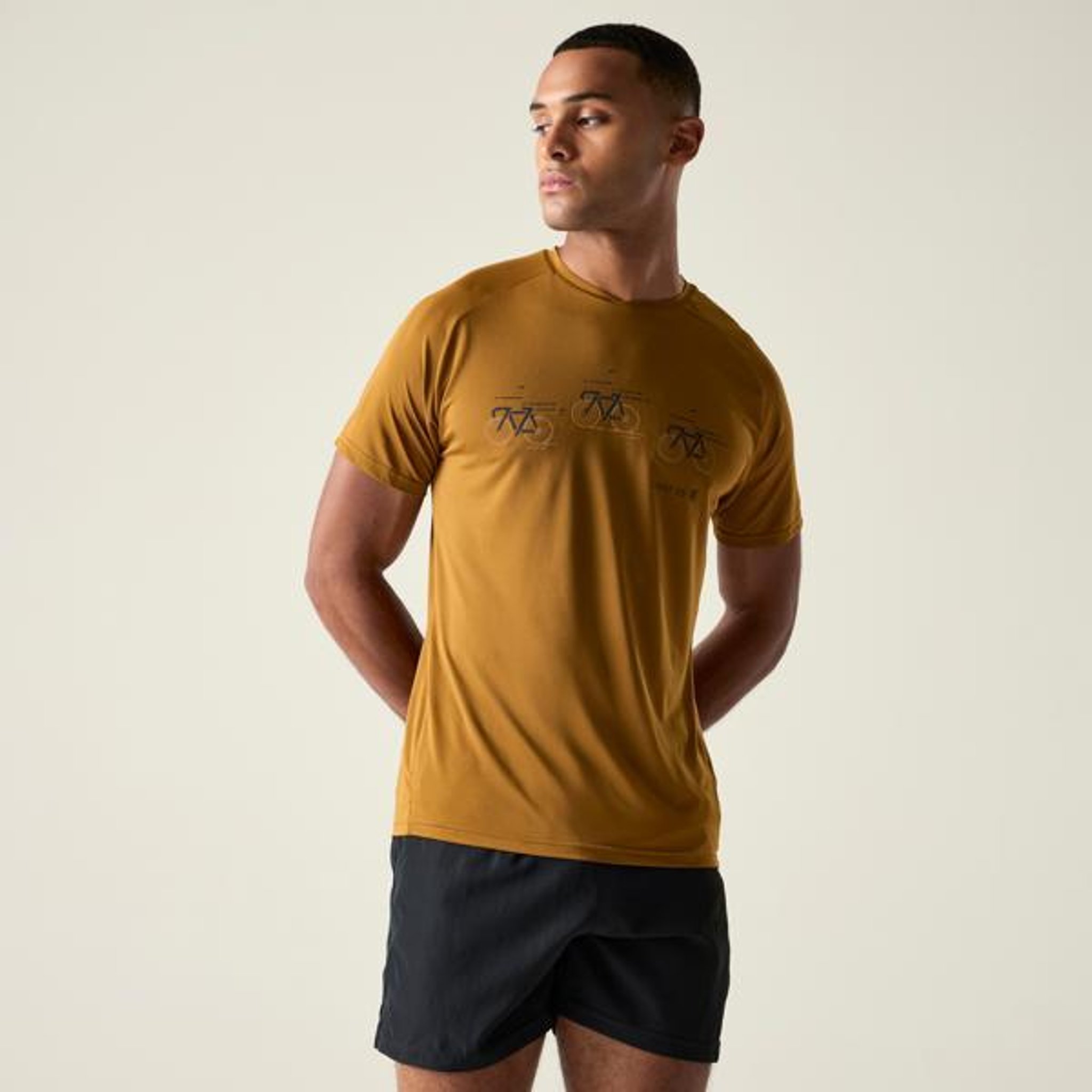 Bruin/navy