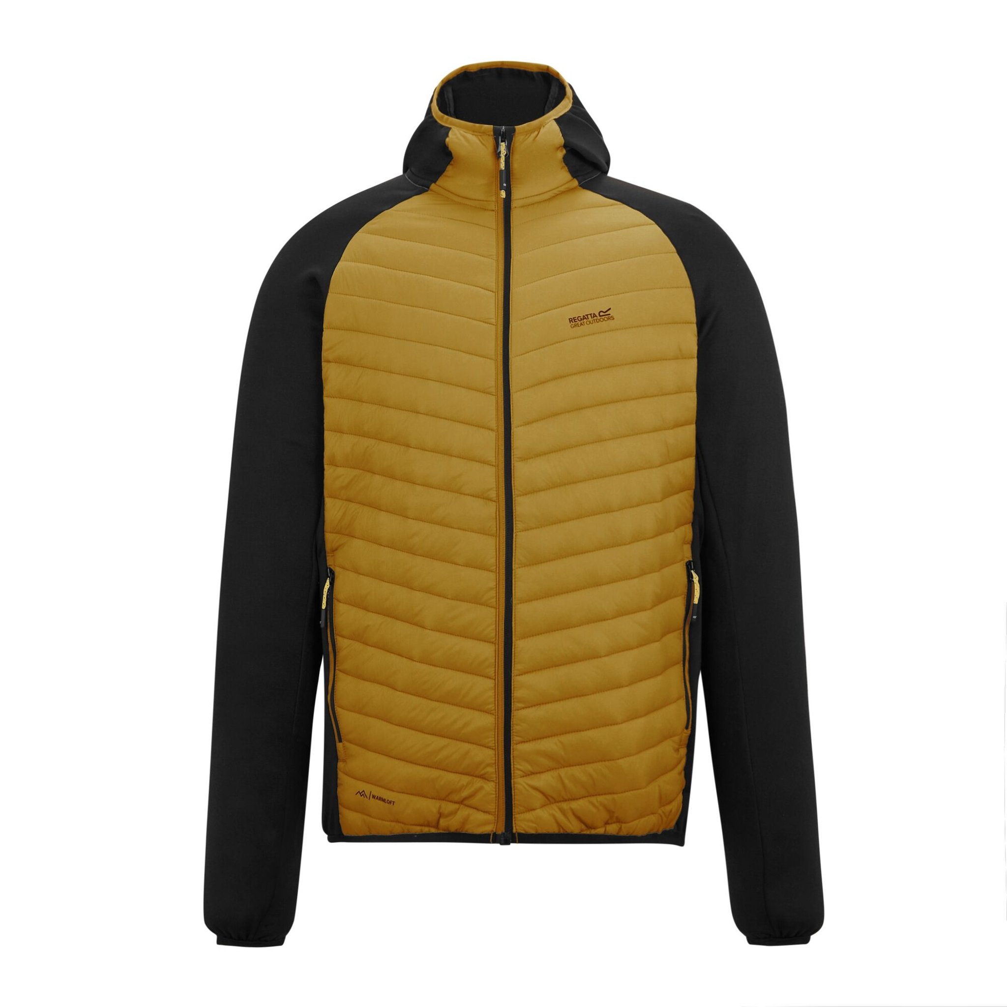 Yellow/Black