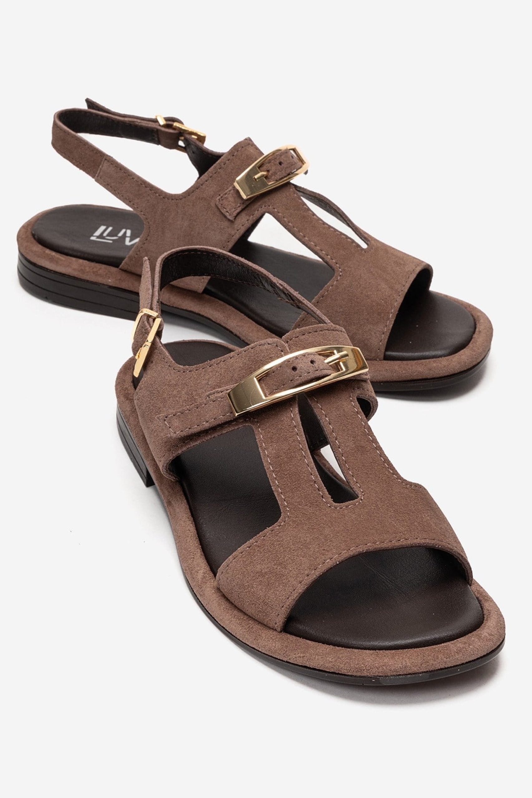 Taupe