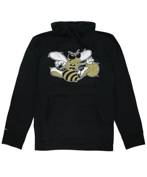 Mitchell & Ness Charlotte Hornets Gold Standard Heren Pullover Hoody BA4B0C CHO