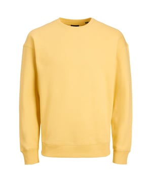 Het sweatshirt voor heren van Jack & Jones is een casual allrounder voor elke dag. Het sweatshirt heeft een ronde hals en lange mouwen met afgezakte schouders voor een relaxte pasvorm. Het sweatshirt is eenvoudig en past bij veel outfits. Het sweatshirt is gemaakt van een zachte katoenmix en is zeer comfortabel om te dragen. Of je het nu draagt met jeans, joggers of een rok, dit sweatshirt van Jack & Jones is een veelzijdige basic voor je garderobe.