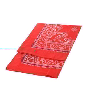Halstuch für Männer.
 Mehrlagenschal.
 Aufdruck.
 Maße: Ca. 62 x 62 cm.
 Zusammenstellung: 100% Baumwolle
 Pflege:
Handwäsche.
 Kein Bleichmittel verwenden.
 Bügeln bei maximaler Temperatur. 110º
 Unterstützt chemische Reinigung.
 Keinen Trockner verwenden.