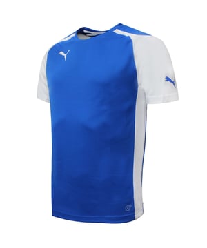 Puma para hombre Speed ​​Jersey Training Gym Sports Camiseta azul 701906 02